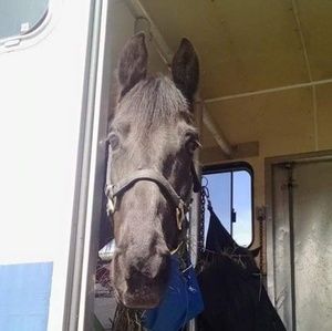 Meet your Posher, Lora